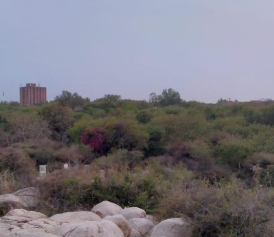 JNU का मार्ग: मुनिरका The Road to JNU: Munirka