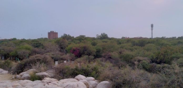 The Road to JNU: Munirka
