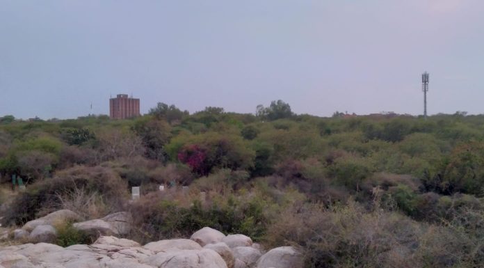 JNU का मार्ग: मुनिरका The Road to JNU: Munirka
