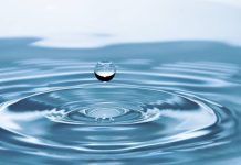 जल क्रांति से भी संपूर्ण क्रांति संभव है – जलपुरुष राजेंद्र सिंह Water