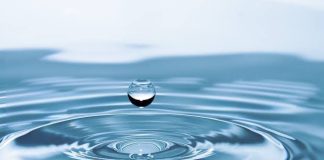 जल क्रांति से भी संपूर्ण क्रांति संभव है – जलपुरुष राजेंद्र सिंह Water