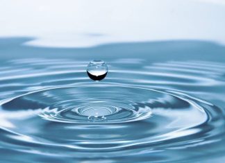 जल क्रांति से भी संपूर्ण क्रांति संभव है – जलपुरुष राजेंद्र सिंह Water