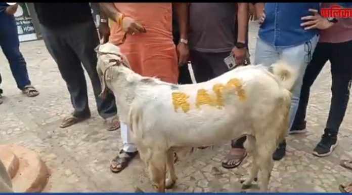 Bakrid Bakrid