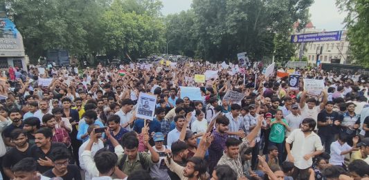 कॉकरोच आंदोलन ; जागृत नागरिक और कन्फ्यूज्ड राजनीतिक दलीय कार्यकर्ता Cockroach Movement; Awakened citizens and confused political party workers